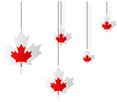 feliz dia DE CANADA png