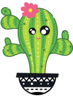 cactus dans le pot png