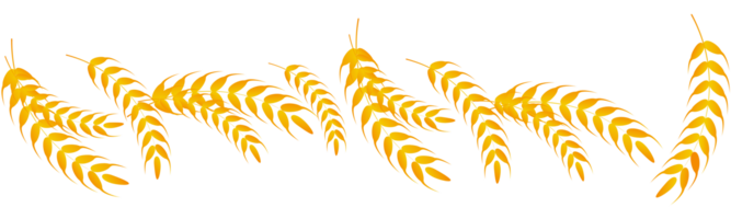 wheat harvest illustration png