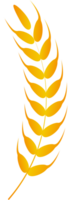 wheat harvest illustration png