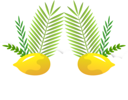 glücklich Sukkot Illustration png