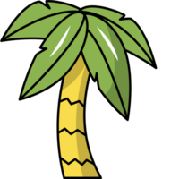 illustrazione della palma png