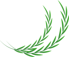 illustration de feuille de plante png