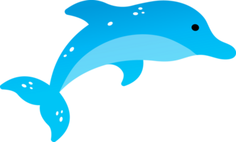 dolphin sealife illustration png