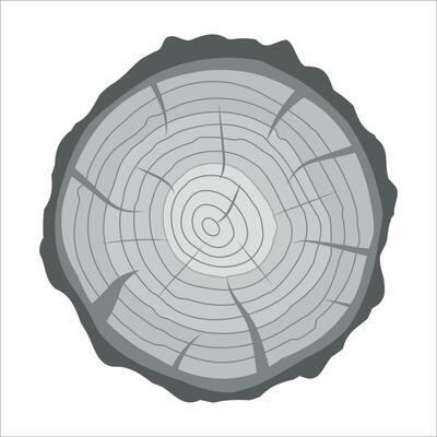 Cross section of tree stump or trunk. Wood cut. Vector illustration in flat style