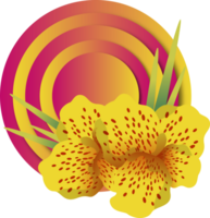 canna flowers cartoon illustration png