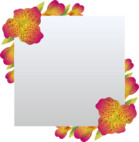 canna flowers cartoon illustration png