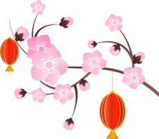 Pfirsich Blumen Illustration png