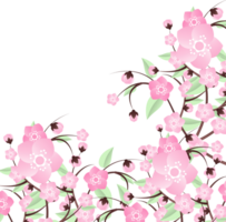 peach flowers illustration png