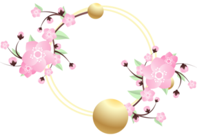 peach flowers illustration png