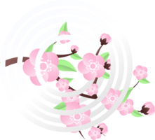 peach flowers illustration png