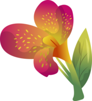 canna flores desenho animado ilustração png