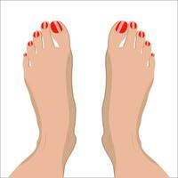 hembra pies con rojo pedicure. vector ilustración en plano estilo om blanco