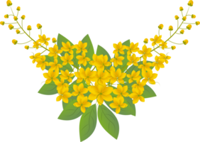 cassia fistula illustration png