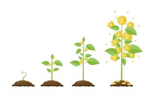 Growing money tree. Stages of growing. Gold coins on branches. Symbol of wealth. Business success. Flat style vector illustration.