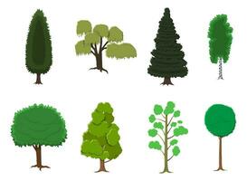 Set of various stylized trees in flat style. vector illustration