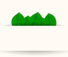 Green leaves card. leaves in the pocket with place for your text on white background. vector illustration, template