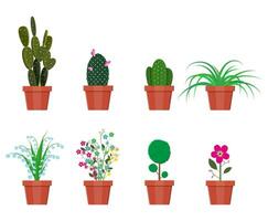 Various plants in flower pot. Decoration home plant set. Vector illustration in flat style