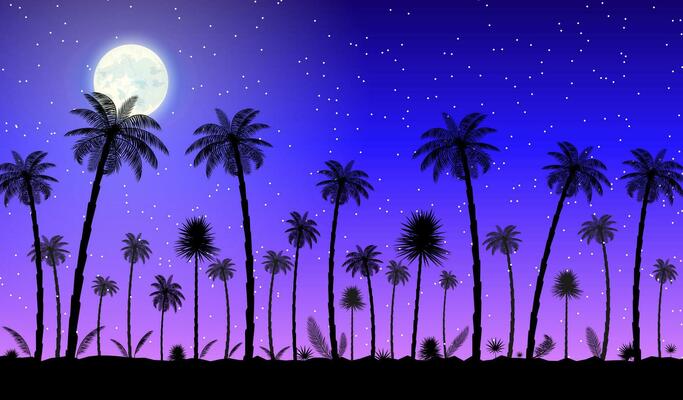 Jungle panorama silhouette. Night sjy with moon and stars. Coconut palm, monstera, fan palm, rhapis, banana tree. Natural leaf, exotic branches tree. Vector illustration