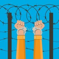 Human hands in handcuffs and background with barbed wire. Anti criminal, anti corruption concepts. Vector illustration in flat style