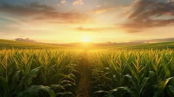 AI generated reality photo of the sun rising over a corn field, a very stunning view