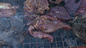 grigliato carne a un' festa festeggiare nuovo anni giorno 2024 video