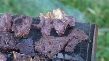 Grilled meat at a party celebrating New Year's Day 2024 video