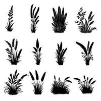 Grass elements set collection vector illustration