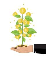 Money coin tree in hand of businessman. Growing money tree. Investment, investing. Gold coins on branches. Symbol of wealth. Business success. Flat style vector illustration.