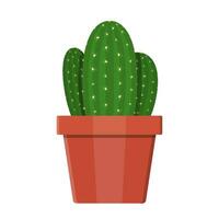 Cactus plant in flower pot. Decoration home plant. Vector illustration in flat style