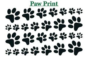 Paw Print Vector Background