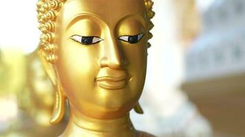 Buddha Statue im das Tempel ein Vertreter von das Buddha zum jene Wer Respekt und glauben im es zu beten zum gut Dinge im Leben. video