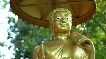 Buddha Statue im das Tempel ein Vertreter von das Buddha zum jene Wer Respekt und glauben im es zu beten zum gut Dinge im Leben. video