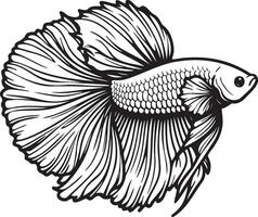 Betta Splendens Fish Sketch Drawing. vector