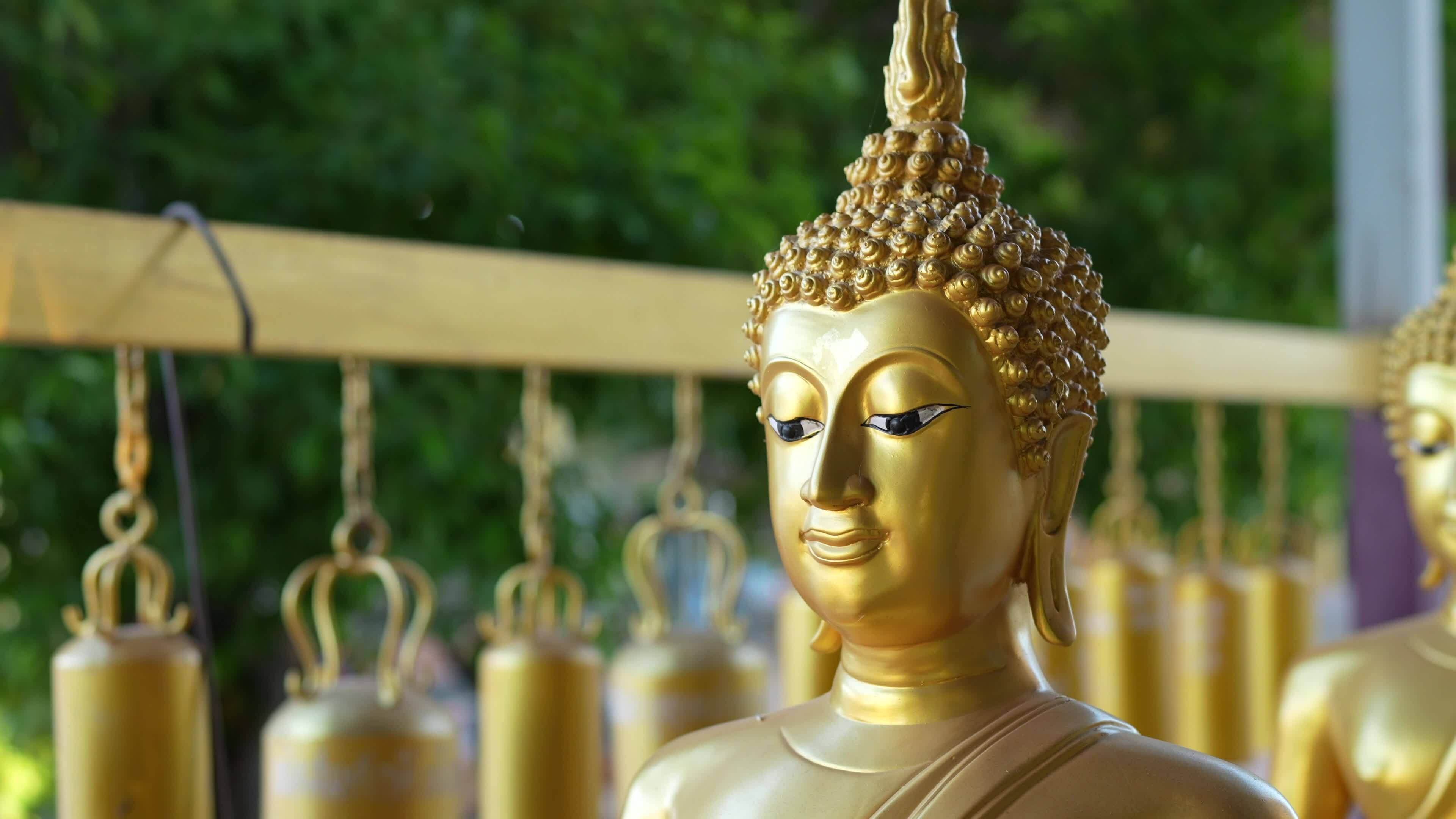 Buddha statue in the temple A representative of the Buddha for those