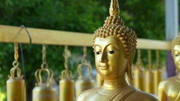 Buddha statue in the temple A representative of the Buddha for those who respect and believe in it to pray for good things in life. video