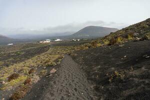 La Geria in Lanzarote photo