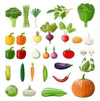 grande vegetal aislado icono colocar. cebolla, berenjena, repollo, pimienta, calabaza, pepino, tomate Zanahoria y otro vegetales. orgánico sano alimento. vegetariano nutrición. vector ilustración en plano estilo