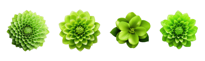 AI generated 3d green flower isolated on transparent background png