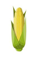 Corncobs with yellow corns and green leaves. Ripe corn vegetables isolated on white background. Organic healthy food. Vegetarian nutrition. Vector illustration in flat style