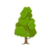 Oak tree isolated on white. vector illustration in flat style