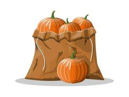 Orange pumpkin vegetable in canvas bag. Halloween pumpkin isolated on white background. Autumn harvest. Vector illustration in flat style