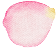 Aquarell Rosa Rose Blütenblatt png