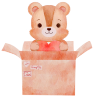 watercolor a bear holding red heart sitting in paper box png