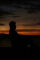 Silhouette of a young man standing by the lake enjoying the sunset. peaceful atmosphere in nature photo