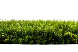 AI generated football field grass isolated on transparent background ,generative ai png