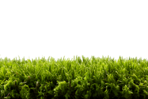 AI generated football field grass isolated on transparent background ,generative ai png