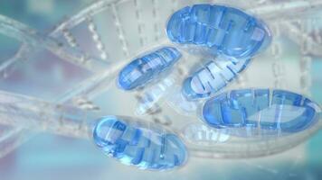 The Mitochondria for sci or health concept 3d rendering photo