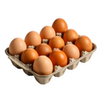 AI generated chicken eggs in paper tray isolated on transparent background ,raw egg png ,generative ai