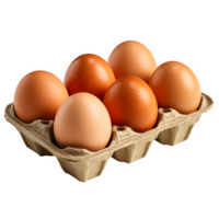 AI generated chicken eggs in paper tray isolated on transparent background ,raw egg png ,generative ai